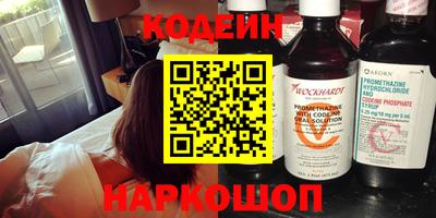 индика Гусь-Хрустальный
