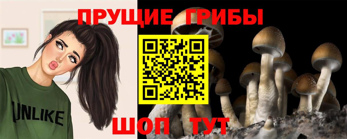 Галлюциногенные грибы Magic Shrooms  Вход с VPN  Жуковский 